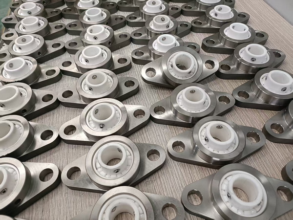 Customized titanium bearings